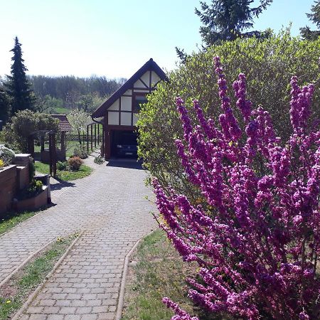 Ferienwohnung Zur Saaleaue Wettin Exterior foto