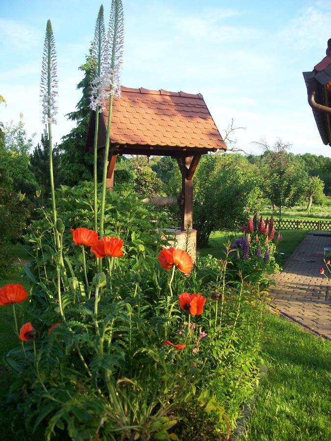 Ferienwohnung Zur Saaleaue Wettin Exterior foto